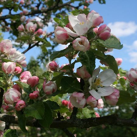Gaestrum Gnottnehult Osterbymo 外观 照片