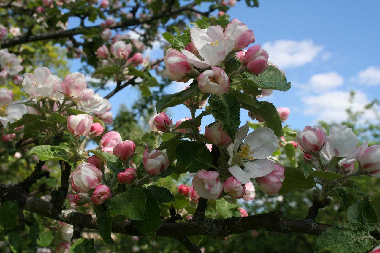 Gaestrum Gnottnehult Osterbymo 外观 照片
