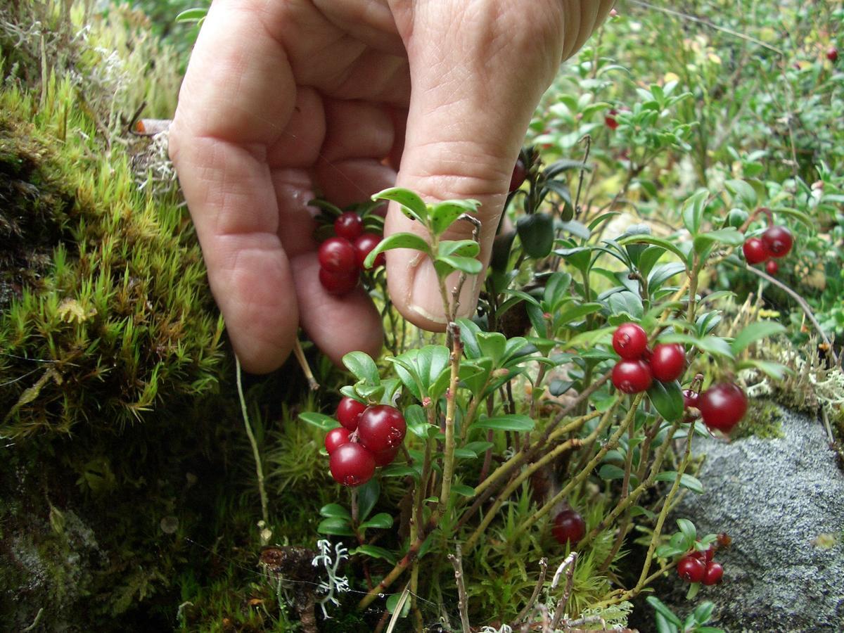 Gaestrum Gnottnehult Osterbymo 外观 照片