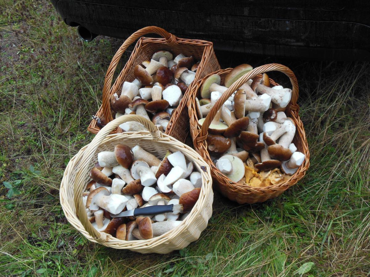 Gaestrum Gnottnehult Osterbymo 外观 照片